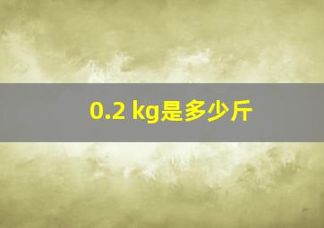 0.2 kg是多少斤